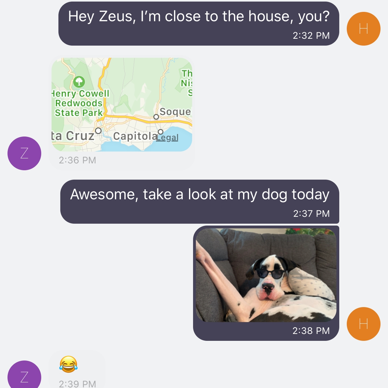 Bobchat App visual